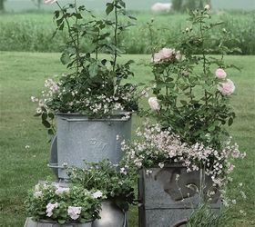 Container Gardening With French Country Flair