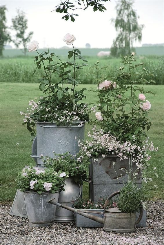 container gardening with french country flair