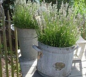 container gardening with french country flair
