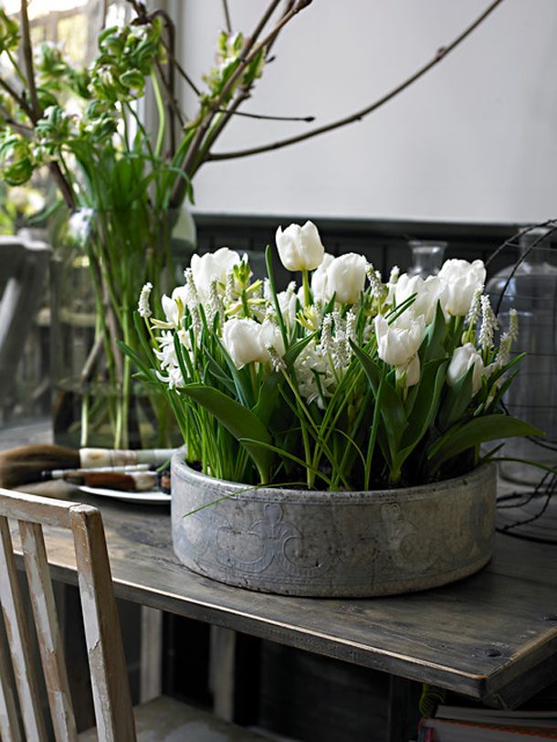 Container Garden French Country Easy Urban Container Gardening