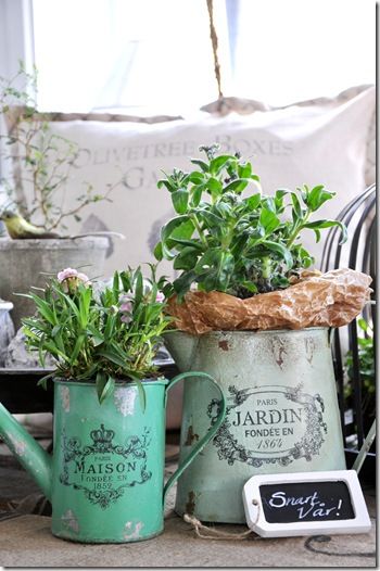 Container Garden French Country Easy Urban Container Gardening