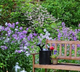 some of the prettiest shrubs care pruning and planting, flowers, gardening, how to