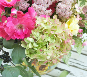 some of the prettiest shrubs care pruning and planting, flowers, gardening, how to, Little Lime Hydrangea and other flowers