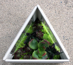 Download DIY Faux Succulent Terrarium | Hometalk