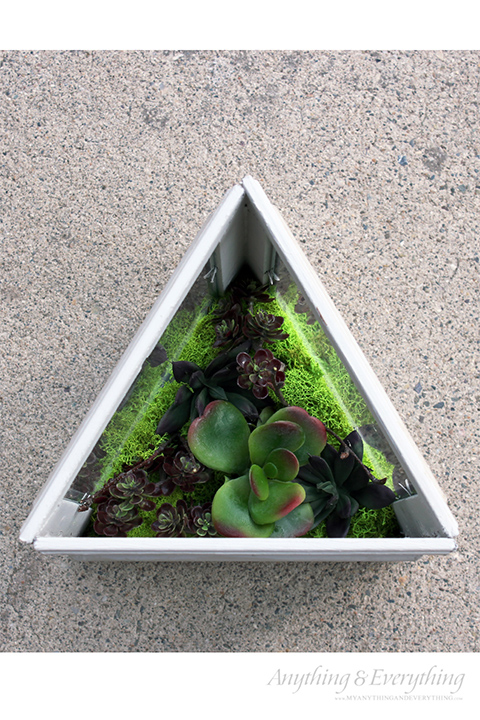 Download DIY Faux Succulent Terrarium | Hometalk