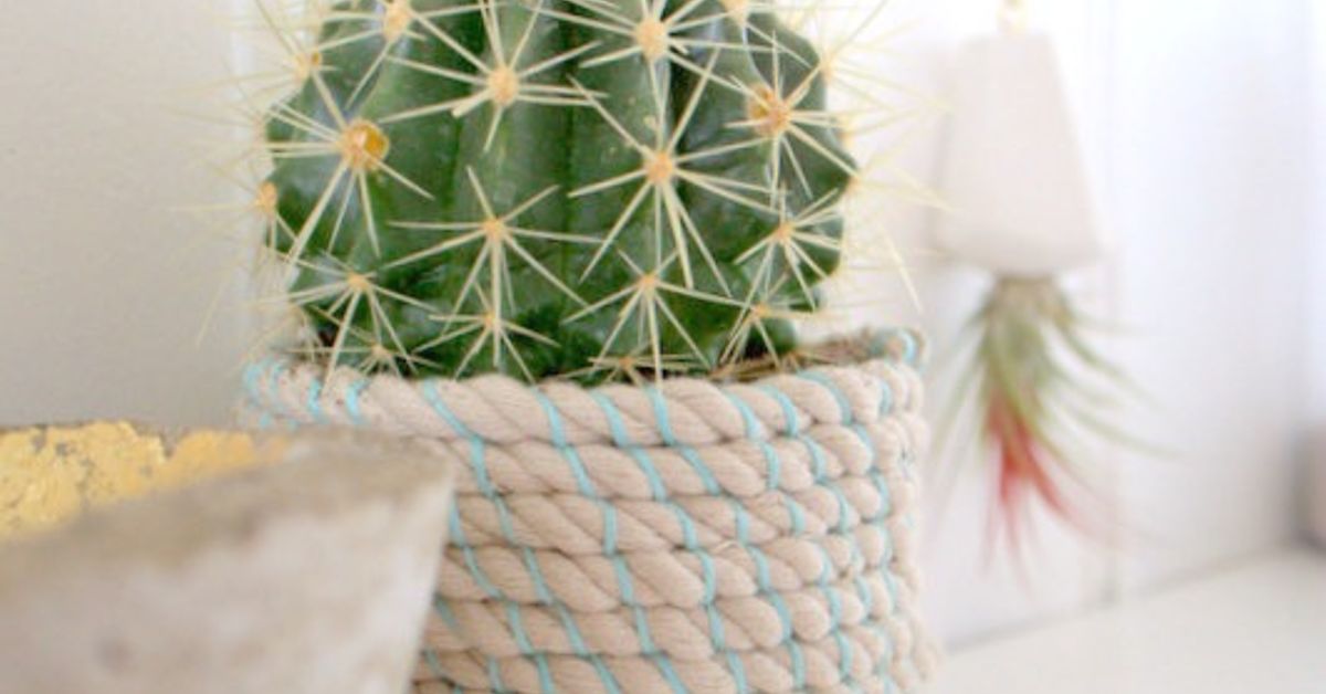DIY Rope Pot | Hometalk