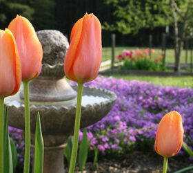 flower garden design ideas, flowers, gardening, landscape