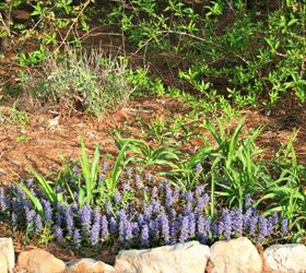 flower garden design ideas, flowers, gardening, landscape