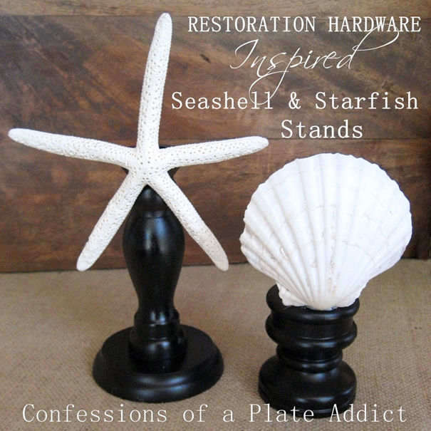 restoration hardware inspired 1 00 seashell and starfish stands, crafts, how to, repurposing upcycling