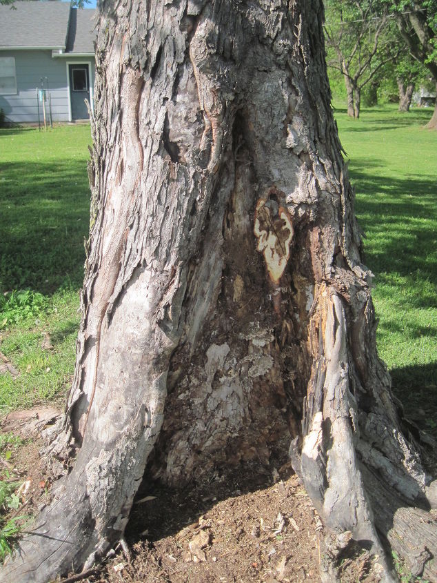 have a rotted tree in your yard build a fairy door