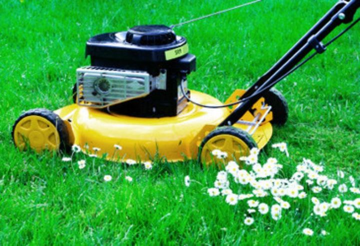 master your lawn mowing technique, how to, landscape, lawn care