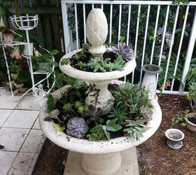 from fountain to planter, First planting of succulents