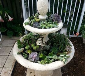 from fountain to planter, Second planting of fill in succulents