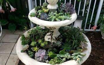 From Fountain to Planter