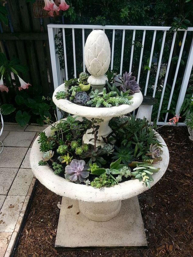 from fountain to planter, Second planting of fill in succulents