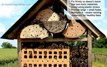  Jardins amigos das abelhas, hotéis de insetos e dicas para polinização manual