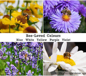 bee friendly gardens insect hotels hand pollinating tips, gardening, homesteading, repurposing upcycling, These colours are especially favoured by bees