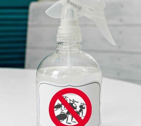 diy ant deterrent spray, how to, pest control