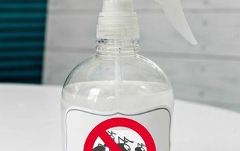 DIY Ant Deterrent Spray