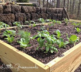 build your own diy container garden, container gardening, diy, gardening, how to, raised garden beds