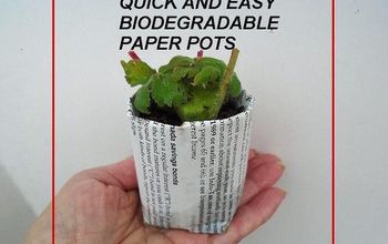 Best, Easy, Diy Biodegradable Pots for Seedlings or Cuttings