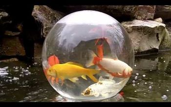 Fish bowl on your pond! Cool idea!