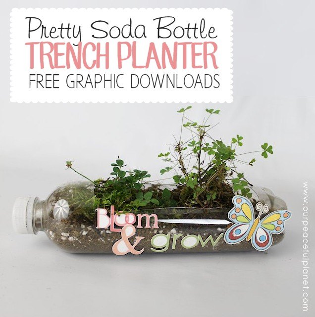 unique planters from soda bottles, container gardening, gardening, how to, repurposing upcycling