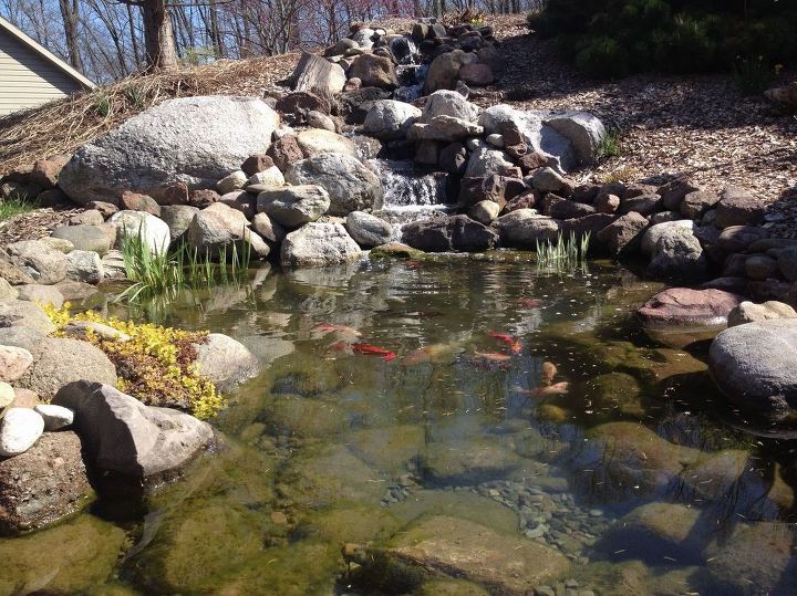 Backyard Fish Pond And Waterfall Hometalk