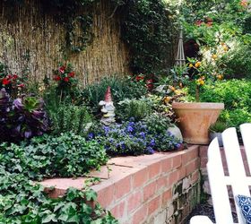 backyard makeover, flowers, gardening, landscape, outdoor living, succulents