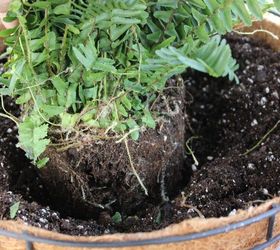 save by making your own hanging baskets, container gardening, gardening