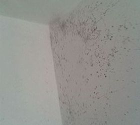 how i got rid of mold on my bathroom ceiling12, bathroom ideas, cleaning tips, Corner of the bathtub ceiling was the worst