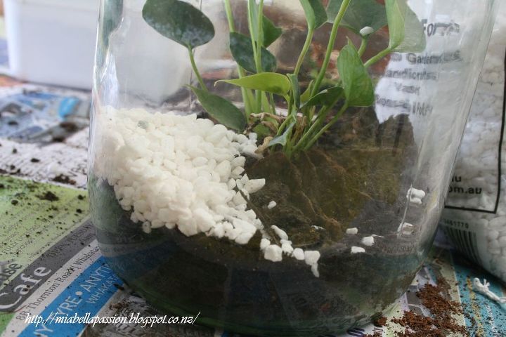 how to make a diy bottle terrarium, container gardening, gardening, home decor, how to, terrarium