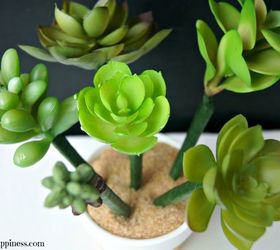 succulent flower pot pens, crafts, how to, succulents