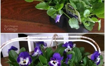 Use Mason Jars & Live Plants for Fun Flower Arrangements