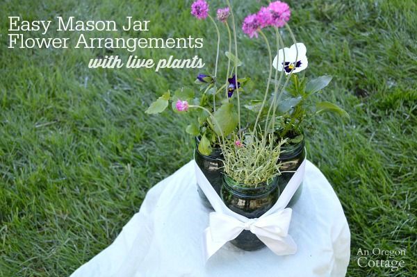 use mason jars live plants for fun flower arrangements, container gardening, flowers, gardening, home decor, mason jars, repurposing upcycling
