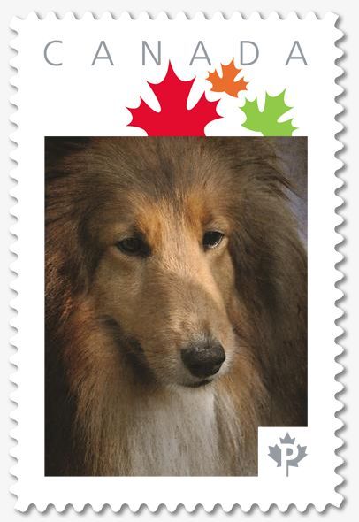 haz tu propio sello postal personalizado