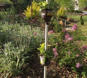 plastic bottle planter, container gardening, gardening, repurposing upcycling