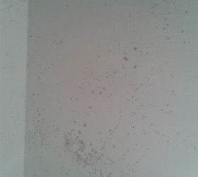 How I Got Rid Of Mold On My Bathroom Ceiling12 Hometalk