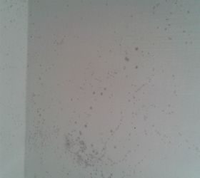 how i got rid of mold on my bathroom ceiling12, bathroom ideas, cleaning tips