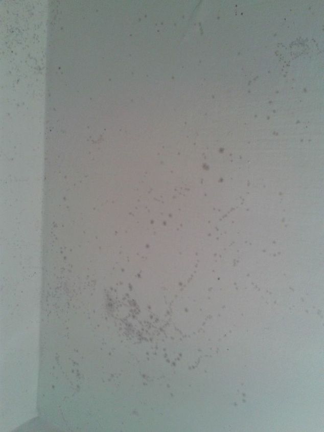 How I Got Rid Of Mold On My Bathroom Ceiling12 Hometalk