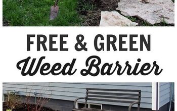  Dicas de jardinagem: Barreira de ervas daninhas grátis e verde