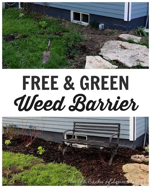 dicas de jardinagem barreira de ervas daninhas grtis e verde
