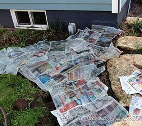 gardening tips newspaper as free green weed barrier, gardening, how to, repurposing upcycling