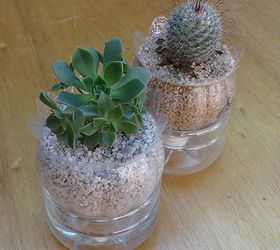 recycled plastic juice bottles to self watering plant containers, container gardening, gardening, how to, repurposing upcycling
