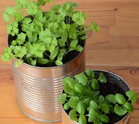 how to get a tiny kitchen organized, how to, kitchen design, organizing, storage ideas, grow herbs for recipe ingredients