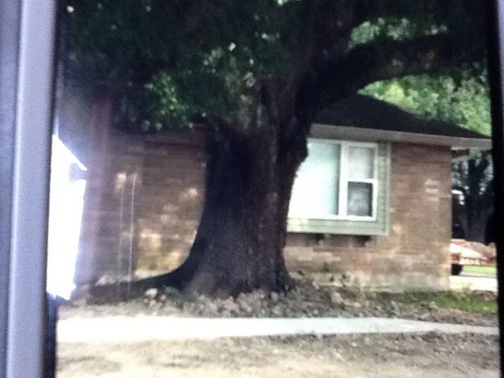 q grasses, gardening, lawn care, Front of house Has no curb appeal Any suggestions would be appreciated