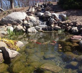 backyard fish pond and waterfall, ponds water features