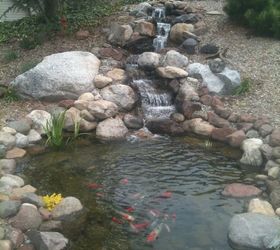 backyard fish pond and waterfall, ponds water features