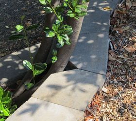 Retaining Wall on Property Line Hometalk