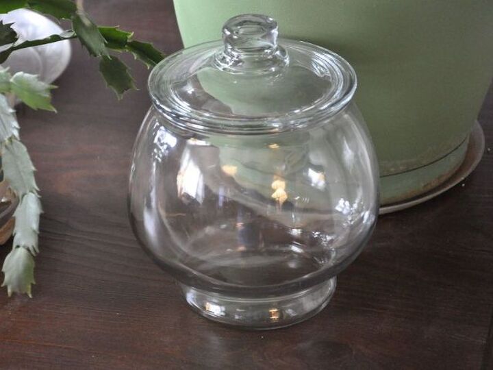 q advice on plants for terrarium, container gardening, gardening, succulents, terrarium